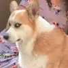 David Nah - @12346777l - TikTok