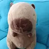 Capybara - @david.nai - TikTok
