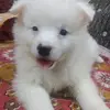 David Naidu - @davidnaidu4 - TikTok