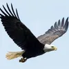David Naing Chaing - @david.naing.chain - TikTok