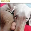 David Nan - @david.nan24 - TikTok