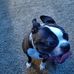 Dave Nanez - Facebook