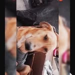 David Nañez - @david.nanez.129 - Instagram