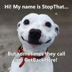 David Nap - Facebook