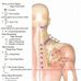 David Clarke Neuromuscular in Naples - Facebook