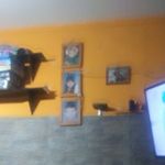 David Nappi - @david.nappi.560 - Instagram