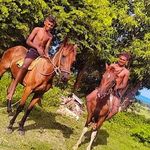 David Narayan - @davidnarayan9 - Instagram
