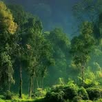 David Narayanan - Facebook