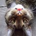 David Nardi - Facebook
