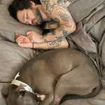 David Nardi - @gnardog667 - Instagram