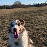 David Nardone - @nardone_david - Instagram