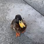 David Nardone - @dnardone - Instagram