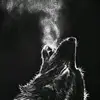 @luisnarea999 - @davidnarea566 - TikTok