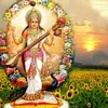 Praveen_Nargundkar - @david.nari - TikTok