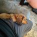 David Narramore - Facebook