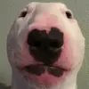 David - @david_narro - TikTok