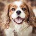 David Narron - Facebook