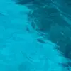 David Narvaez - @davidnarvaez677 - TikTok