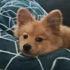 David Narvaez - @david.narvaez63 - TikTok