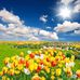 David Nyaoza - Facebook