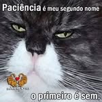 David Naser - @davidfabionaser - Instagram