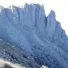 davidnaser953 - @davidnaser953 - TikTok