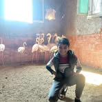 David Nasr - Facebook