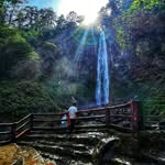David Natalius - @davidnatalius - Instagram