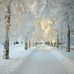 David Natan - Facebook