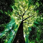 David Nayak - @davidnayak65 - Instagram
