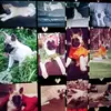 davidneidlingerii - @davidneidlingerii - TikTok