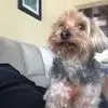David Neil - @david.neil60 - TikTok