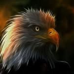 David Neitzke - @resqudiver101 - Instagram
