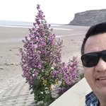 David Néstor Colina - @davidnestorcolina - Instagram