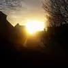 David Neubert - @davidneubert - TikTok
