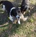 David Nickel - Facebook