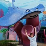 David Nickl - @davidnickl - Instagram
