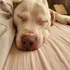 David Nicklinson - @david.nicklinson - TikTok