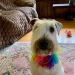 ShirleyandDavid Nicklow - @david.nicklow - Instagram