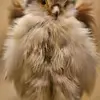 davidniedermann - @davidniedermann - TikTok