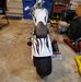 David Nihiser - Facebook