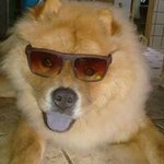 David Nilo - @david.nillo - Instagram