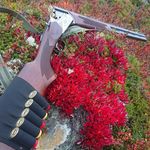 David Nilsen - @davidnilsen77 - Instagram