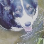 Kalle David August Niskanen - @kalle_niskanen09 - Instagram