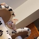David Noh - @zeronimo88 - Instagram