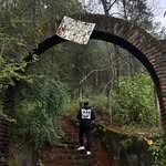 David Noh - @daavidnoh - Instagram