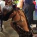 David Noh - Facebook