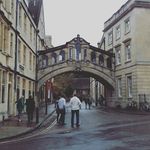 David Noh - @david.noh - Instagram