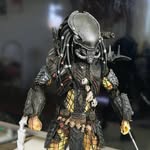 David Corthorn Nolte - @davidcn1984 - Instagram