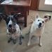 David Nolte - Facebook